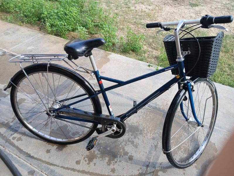 27lik tiger - Мары - img 7