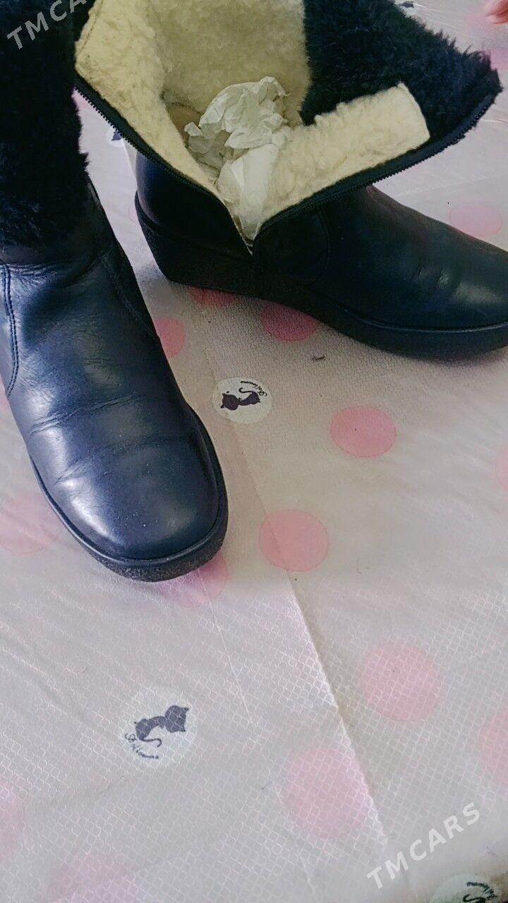 Koza adik - Daşoguz - img 1