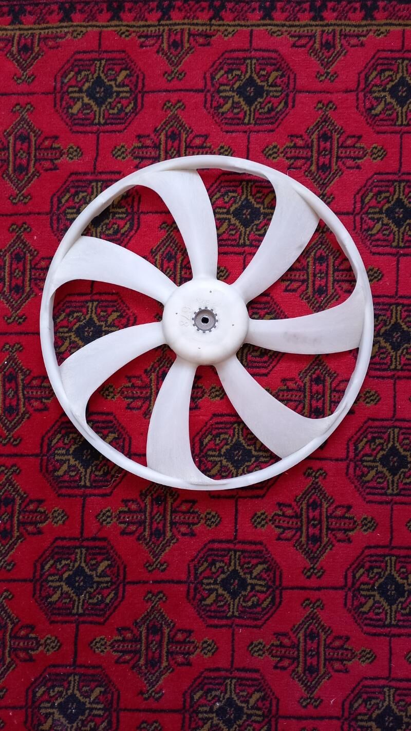 Okuz kelle per 80 TMT - Mary - img 2