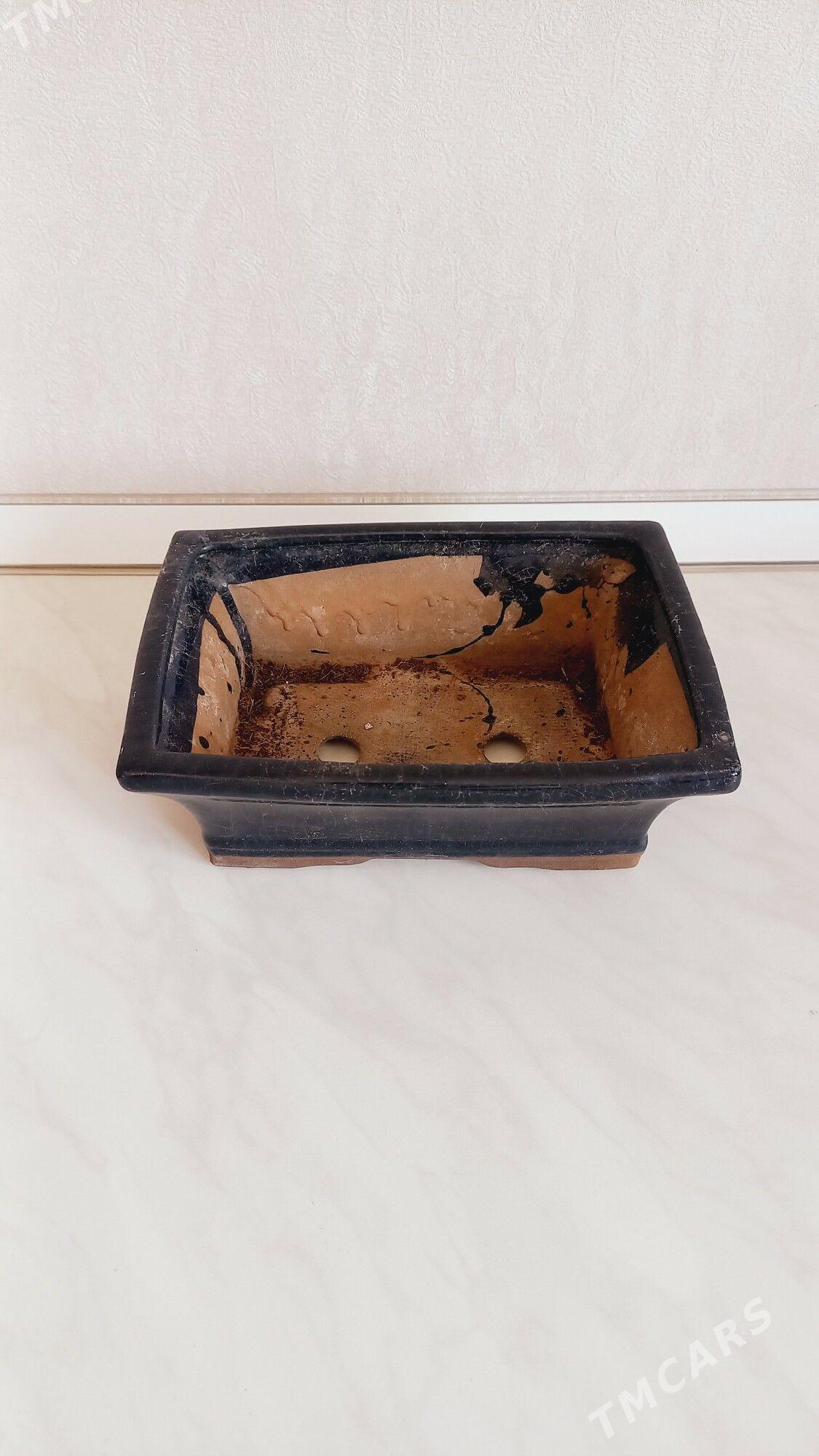 otag gulleri ucin - Мары - img 5