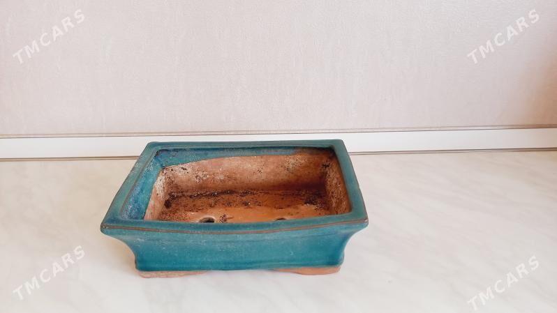 otag gulleri ucin - Мары - img 1