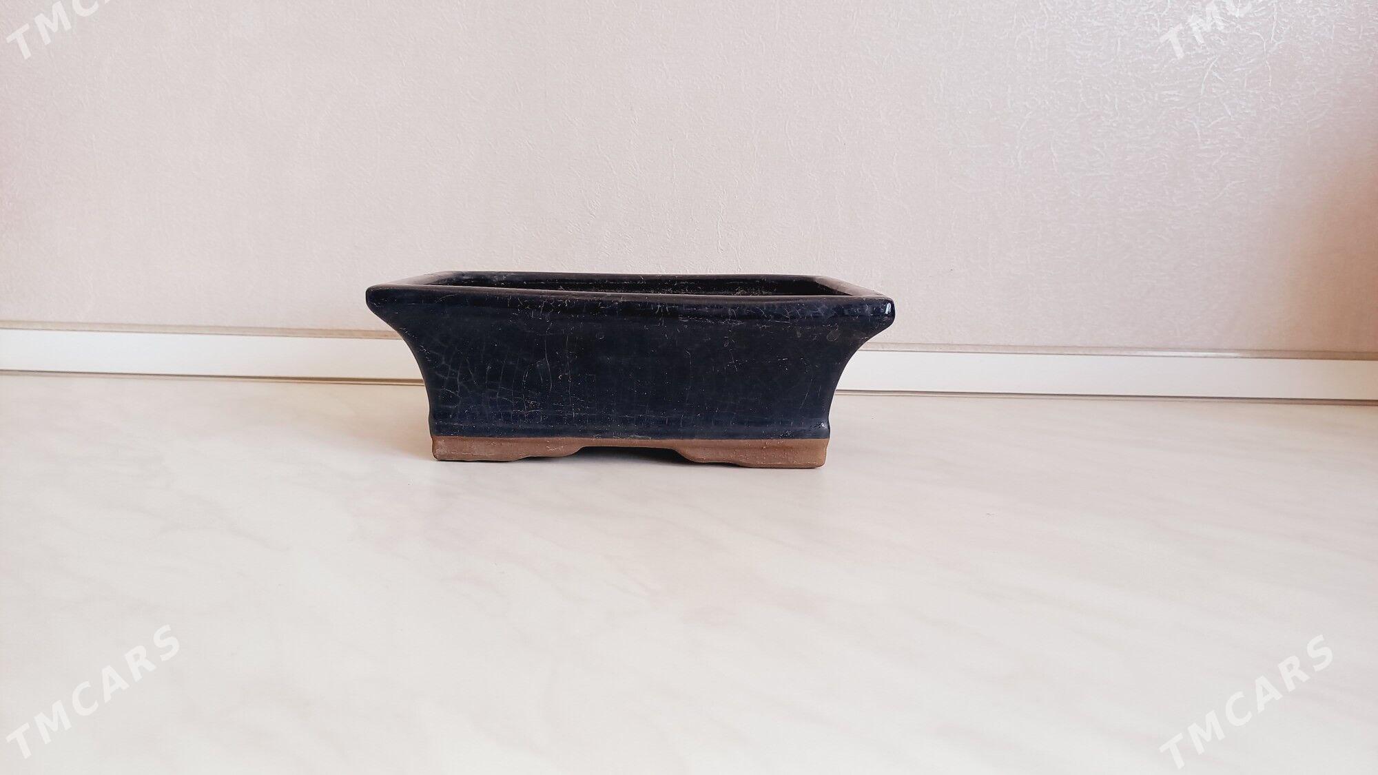 otag gulleri ucin - Мары - img 4