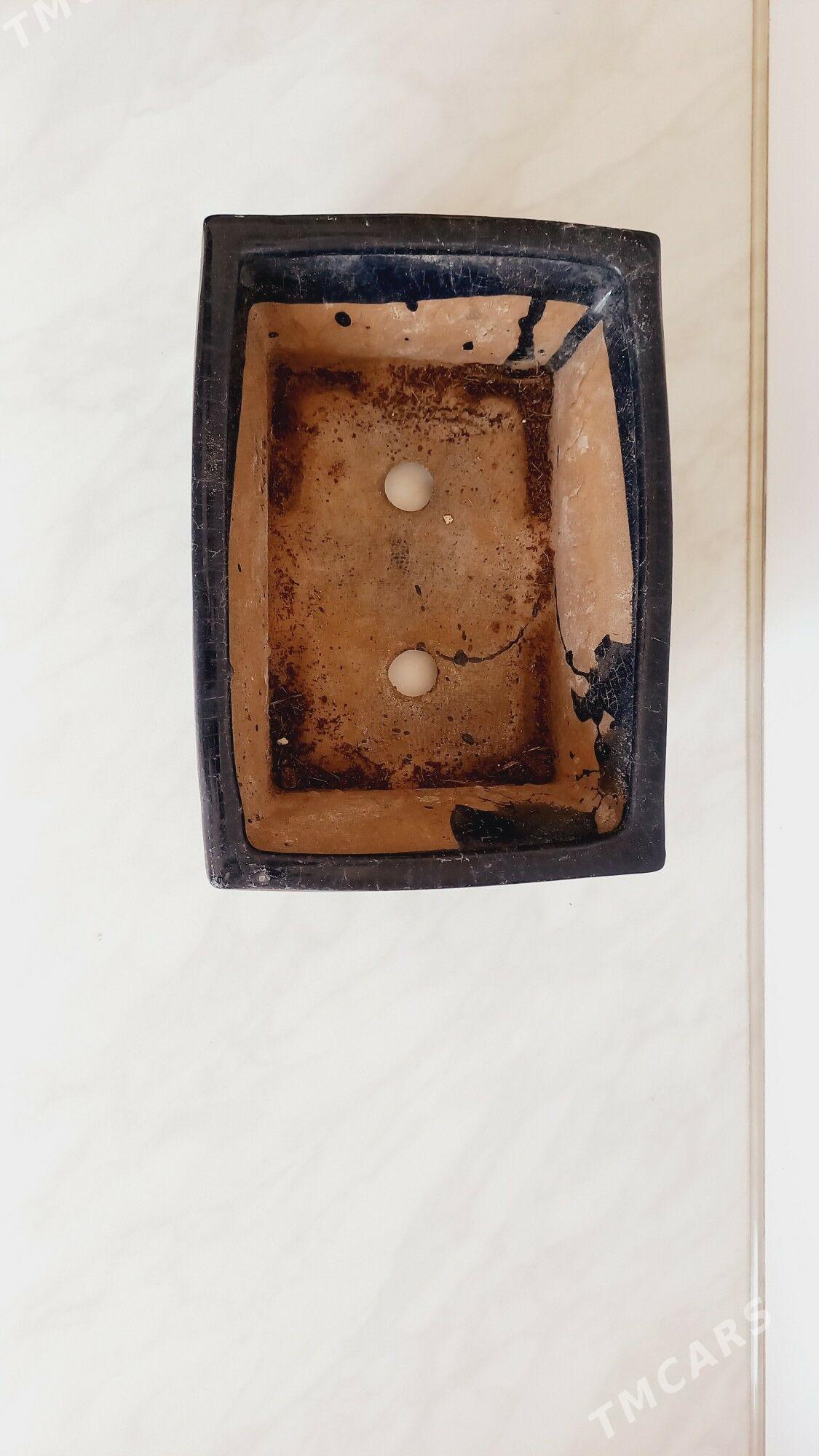 otag gulleri ucin - Мары - img 6