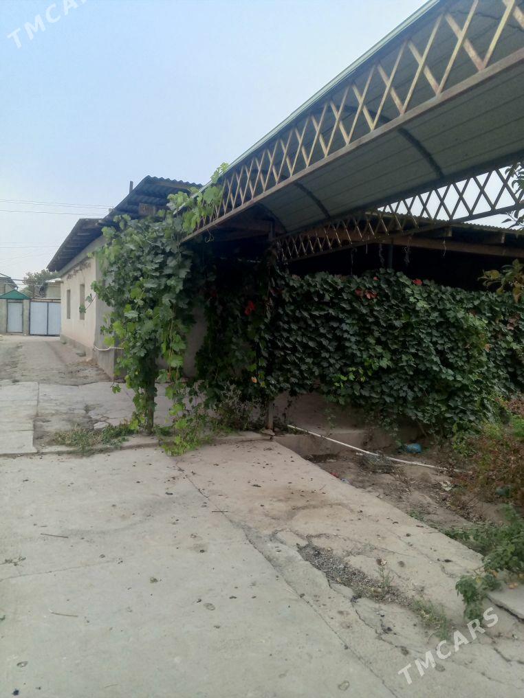 jay  Daşoguz - Daşoguz - img 1