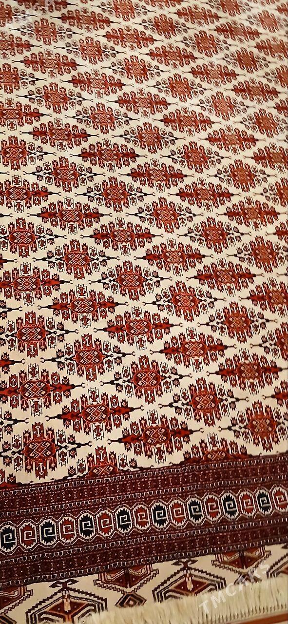 haly - Aşgabat - img 1