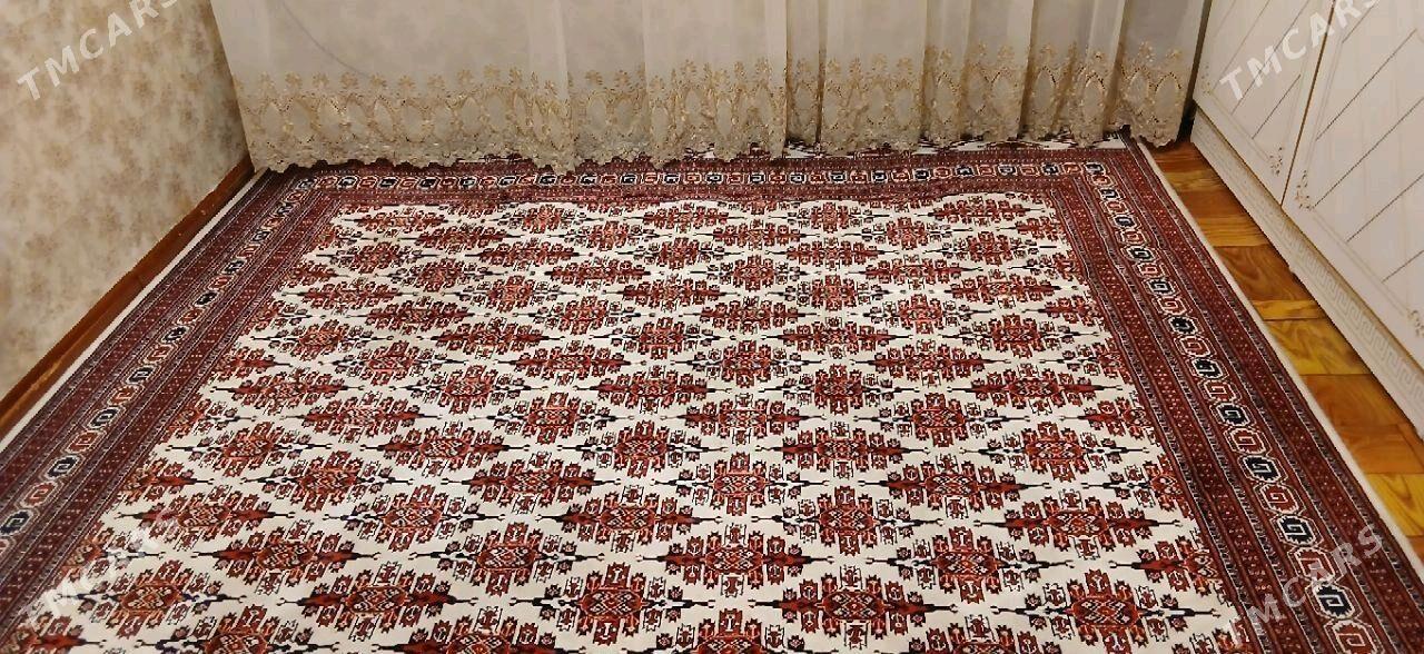 haly - Aşgabat - img 2