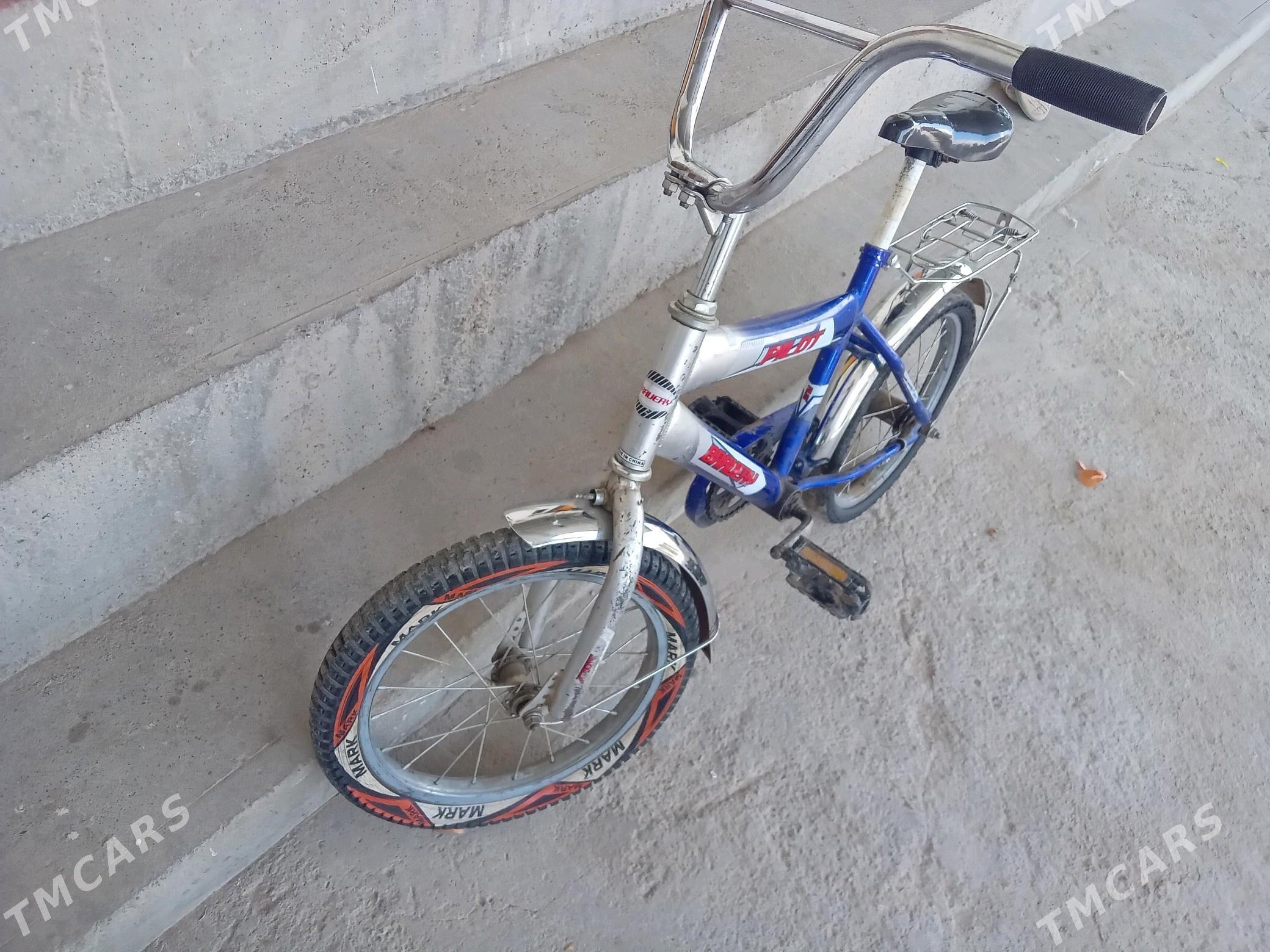 Caga tigir - Херрикгала - img 2