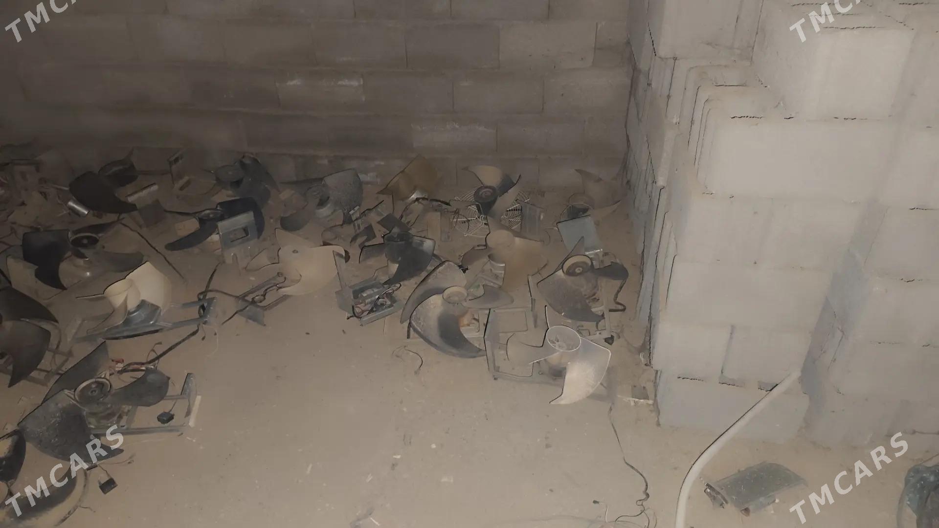 lopuslar splint - Aşgabat - img 3