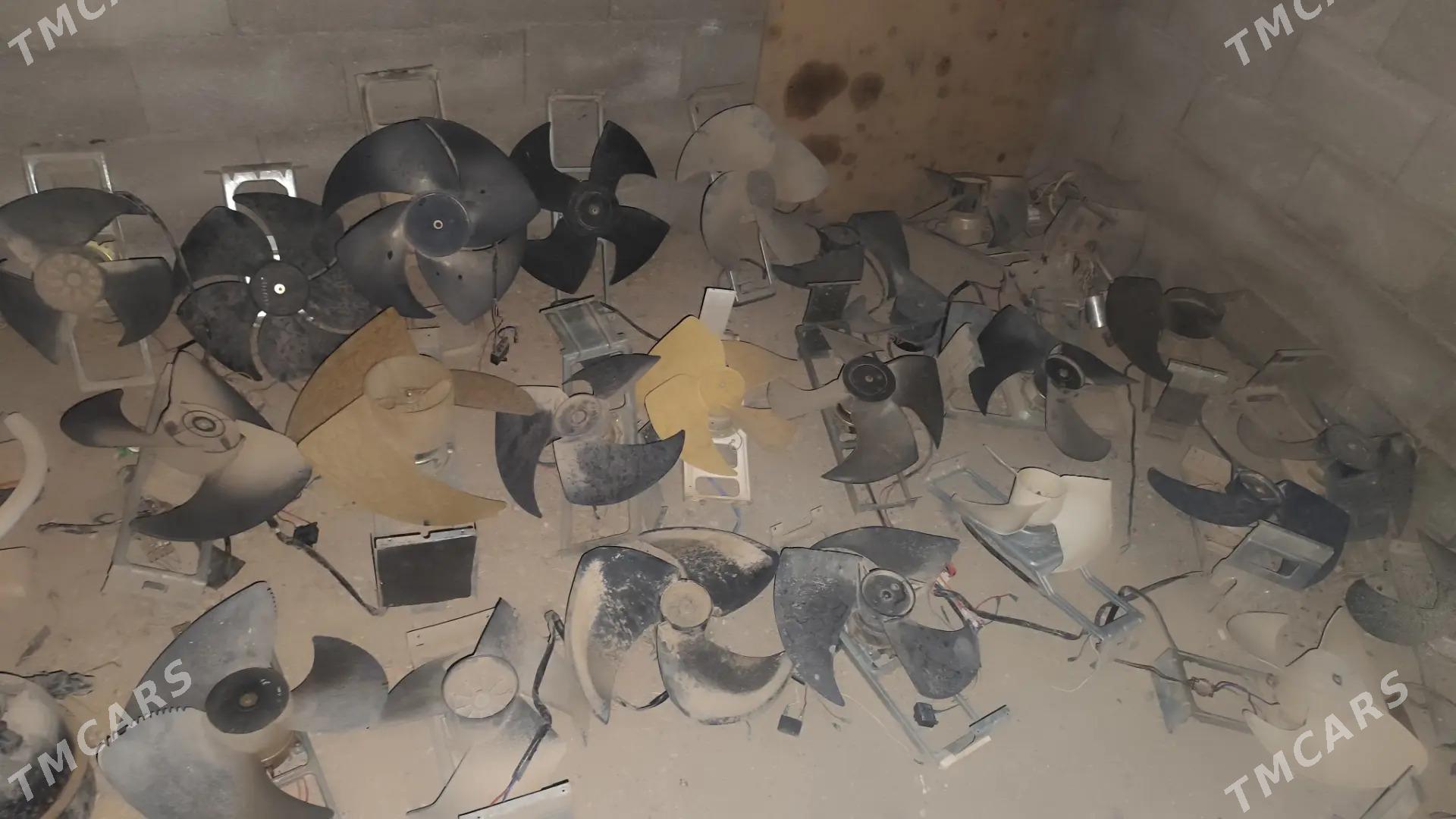 lopuslar splint - Aşgabat - img 2