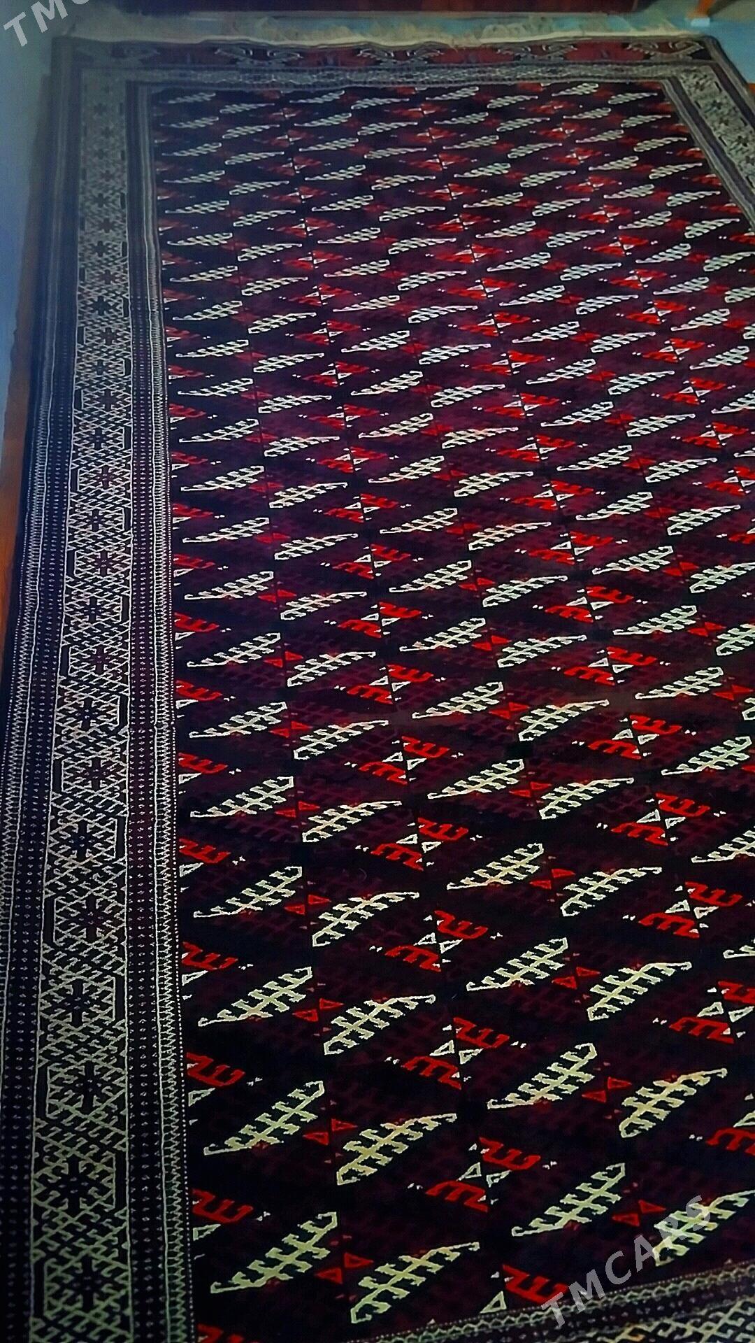 Gara haly - Bereket - img 1