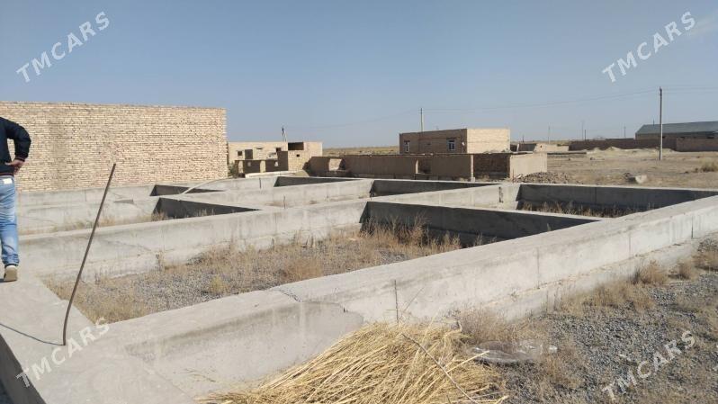 jay we mellek ikisi br yerde - Seýdi - img 3