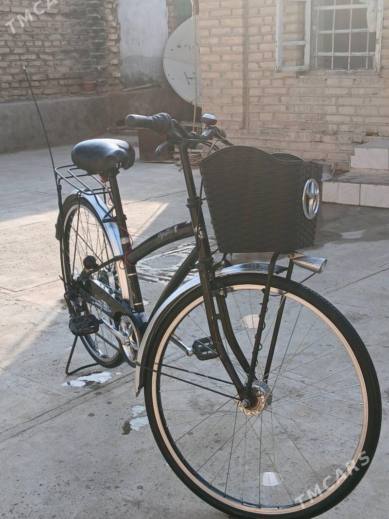 Welsapet - Mary - img 3