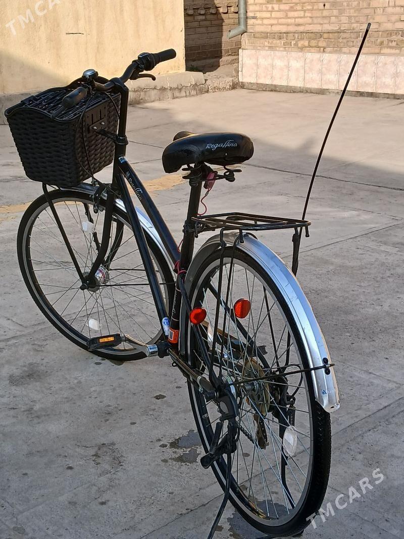 Welsapet - Mary - img 4