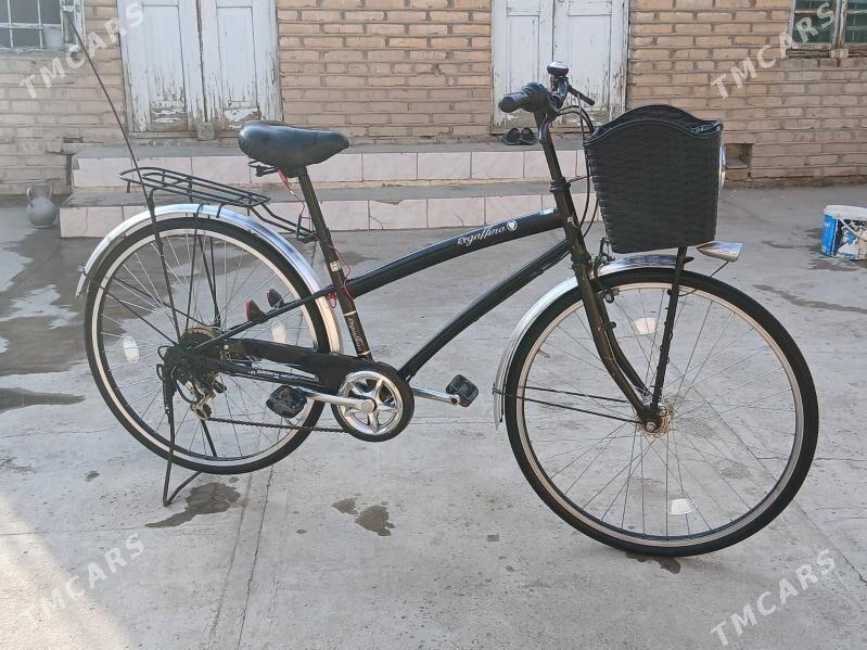 Welsapet - Mary - img 2