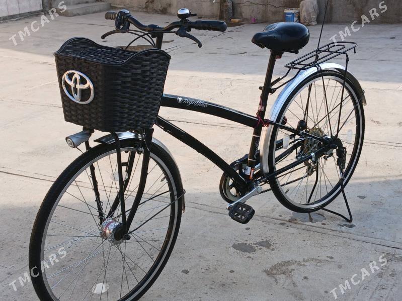 Welsapet - Mary - img 1