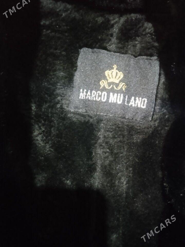 Palto - Дашогуз - img 3