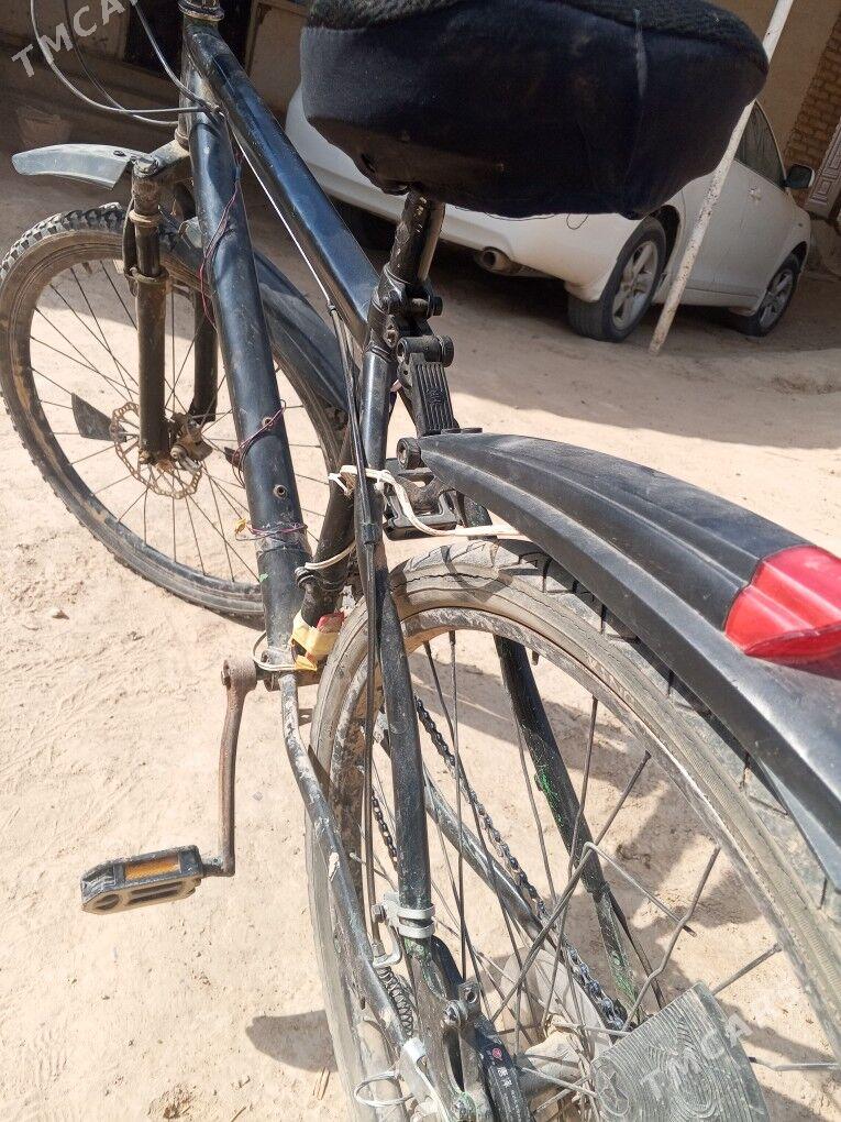 welsopit - Мургап - img 1