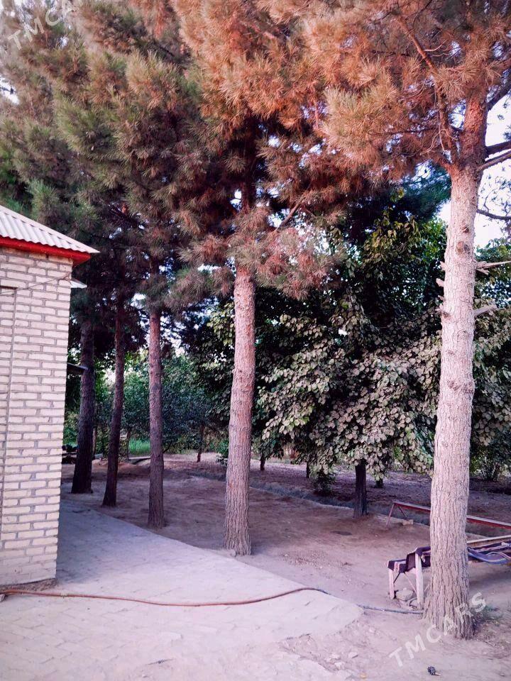 план жай - Каракумский этрап - img 1