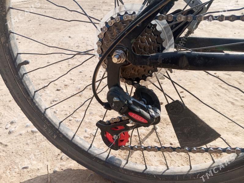 welsopit - Мургап - img 8