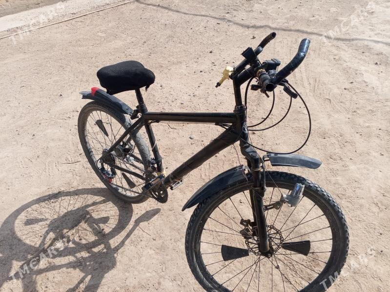 welsopit - Мургап - img 9