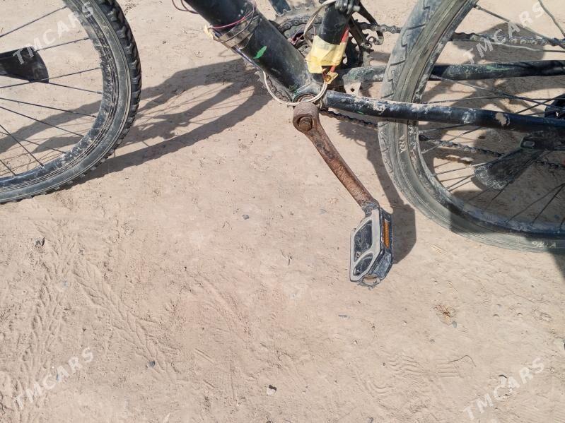 welsopit - Мургап - img 7