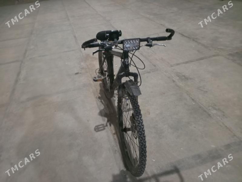 welsopit - Мургап - img 2