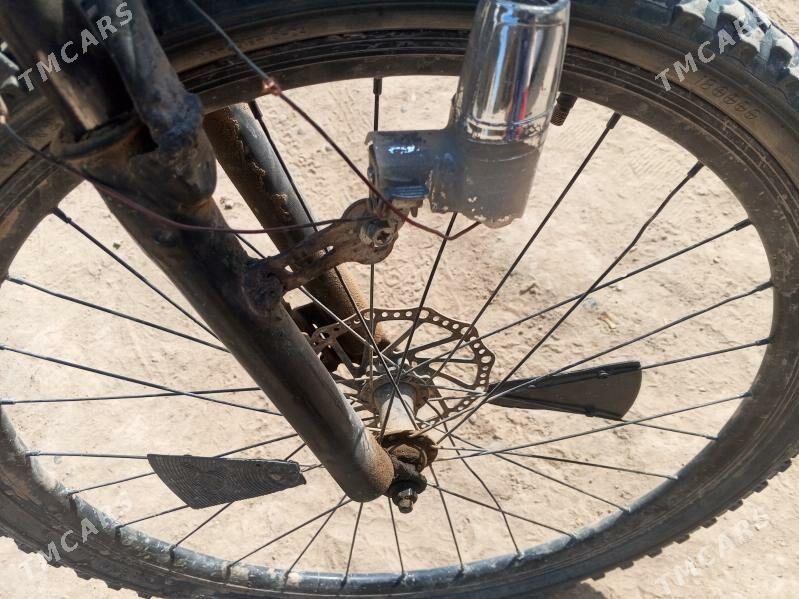 welsopit - Мургап - img 3