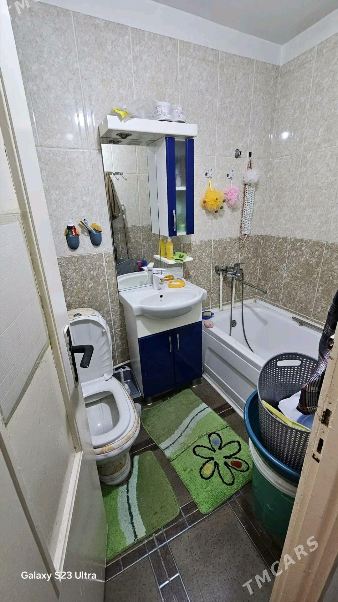 Satlyk jay - Mary - img 1