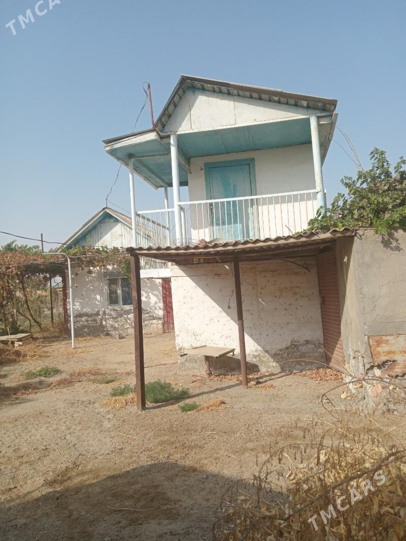 satyş galan janda - Seýdi - img 6