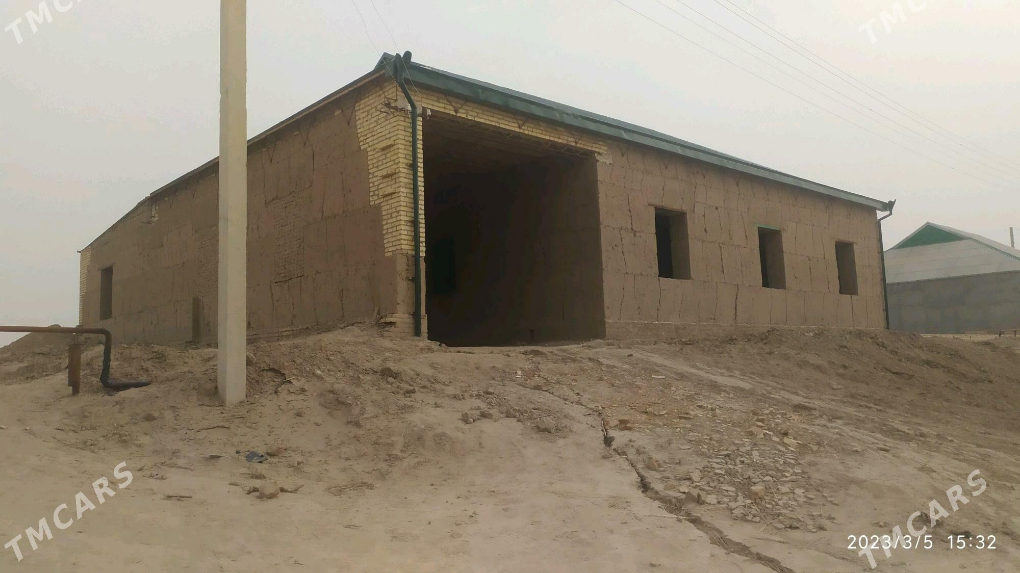 GYZYLGOŞUN ÇÖL 16 SOTK - Халач - img 2