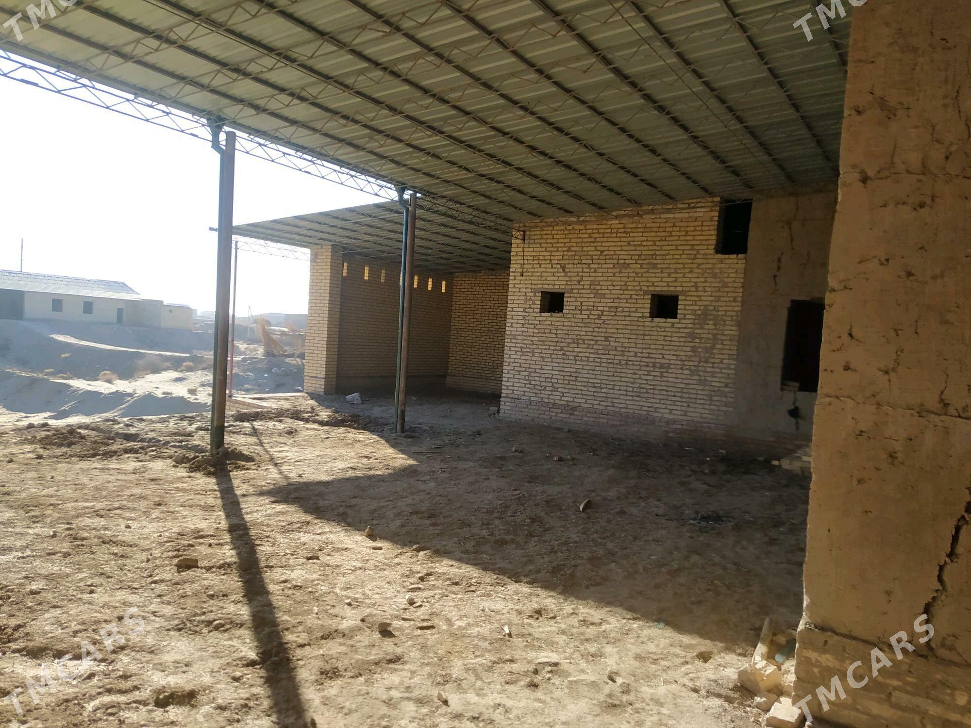 GYZYLGOŞUN ÇÖL 16 SOTK - Халач - img 3