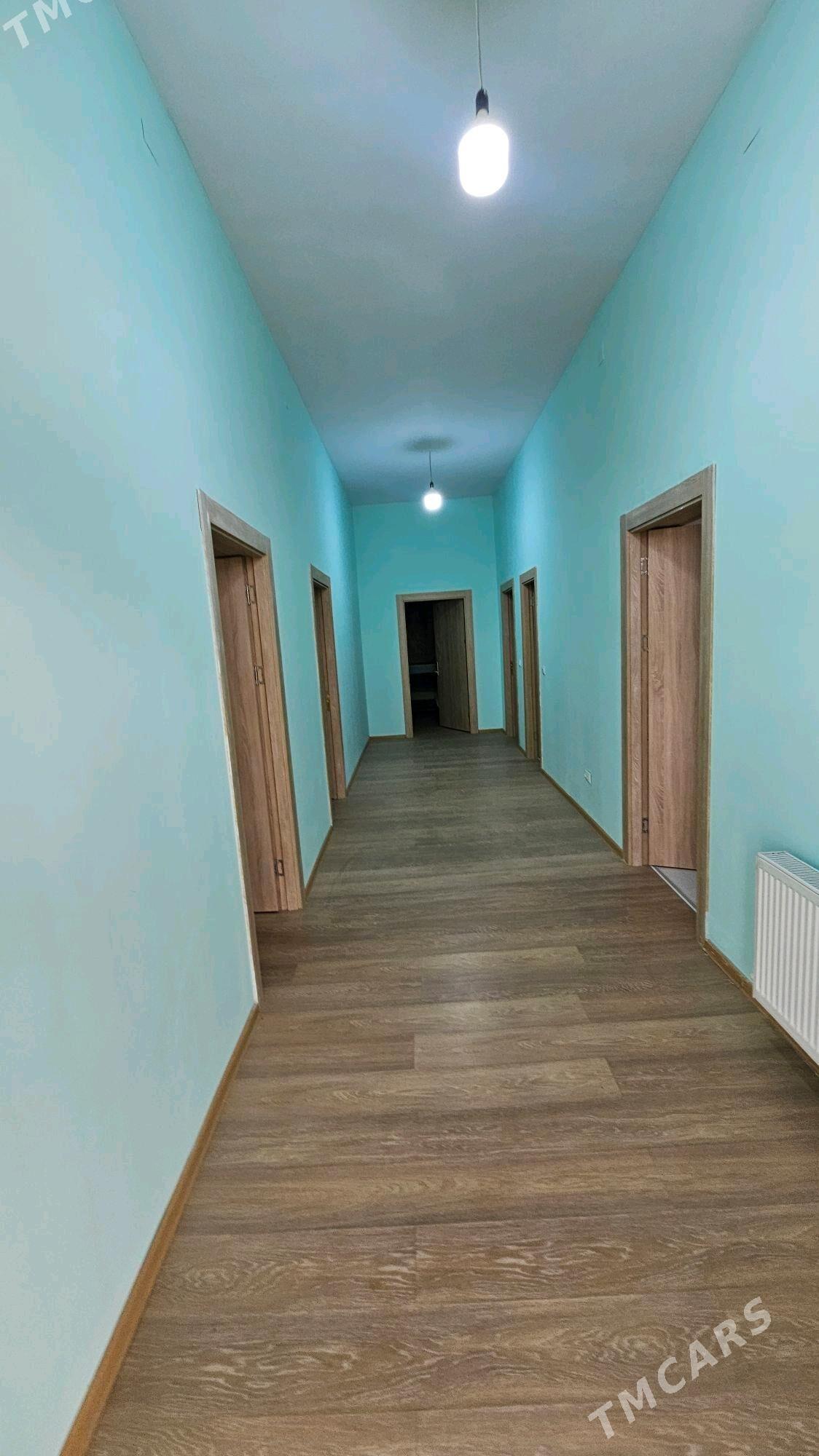 Anew Magtymguly 16 sotuk - Änew - img 3