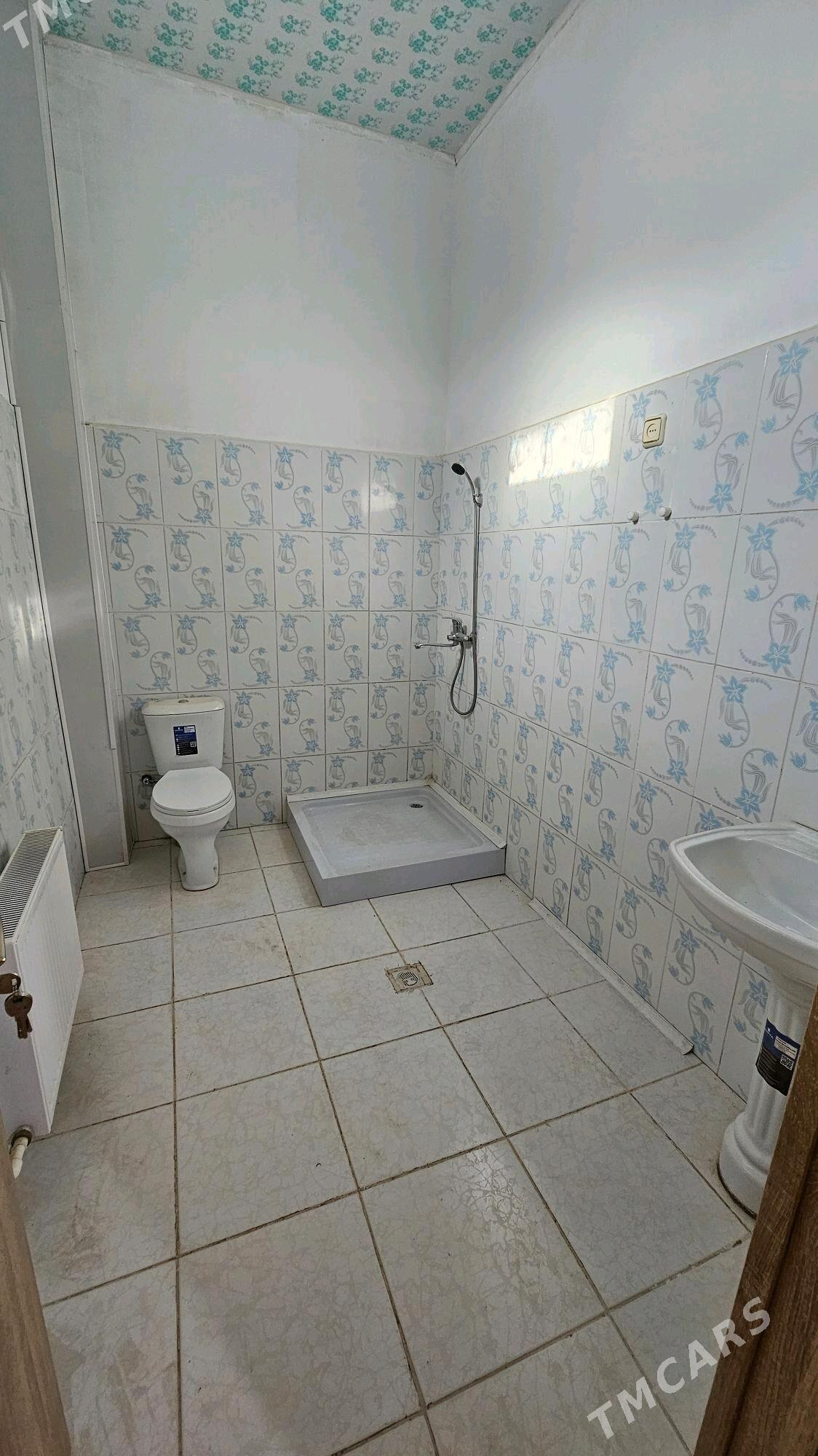 Anew Magtymguly 16 sotuk - Änew - img 5