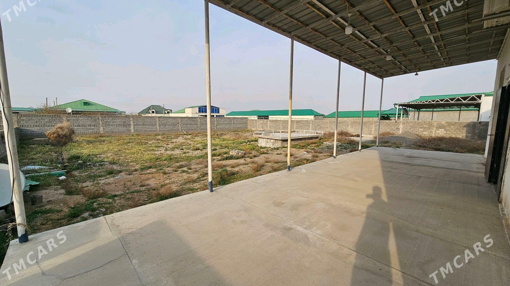 Anew Magtymguly 16 sotuk - Änew - img 7