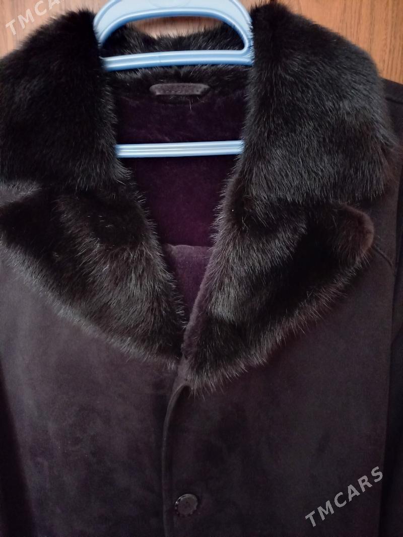 Dublyuonka naturalny - Daşoguz - img 3