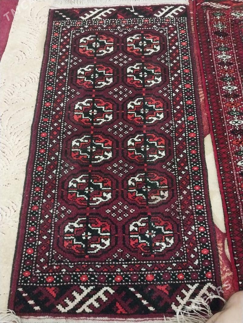 Haly - Arçabil şaýoly - img 3