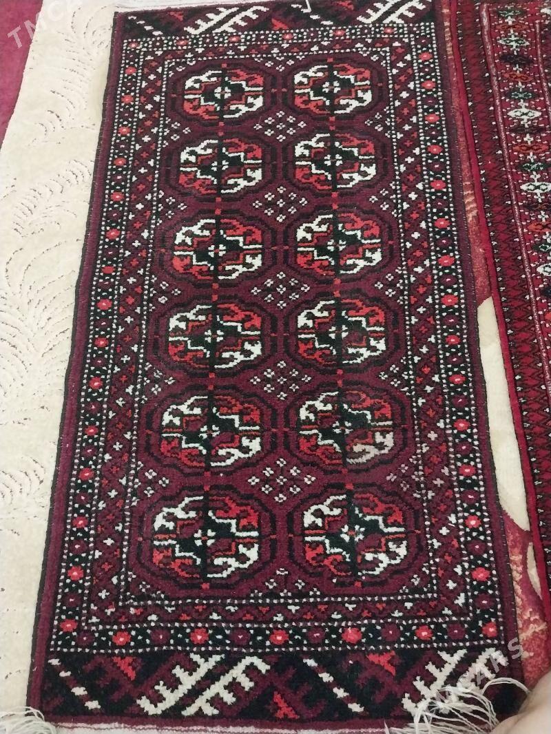 Haly - Arçabil şaýoly - img 2