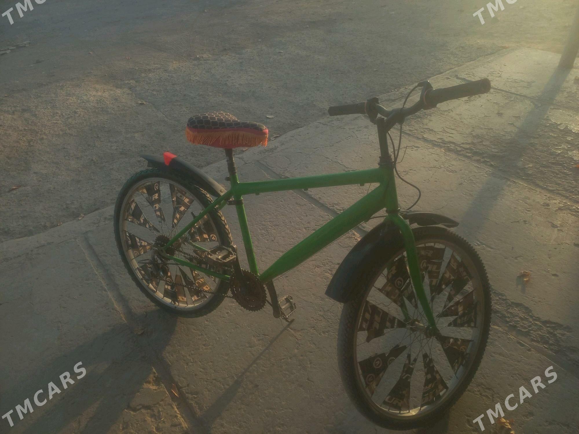 Tigir - Gubadag - img 3