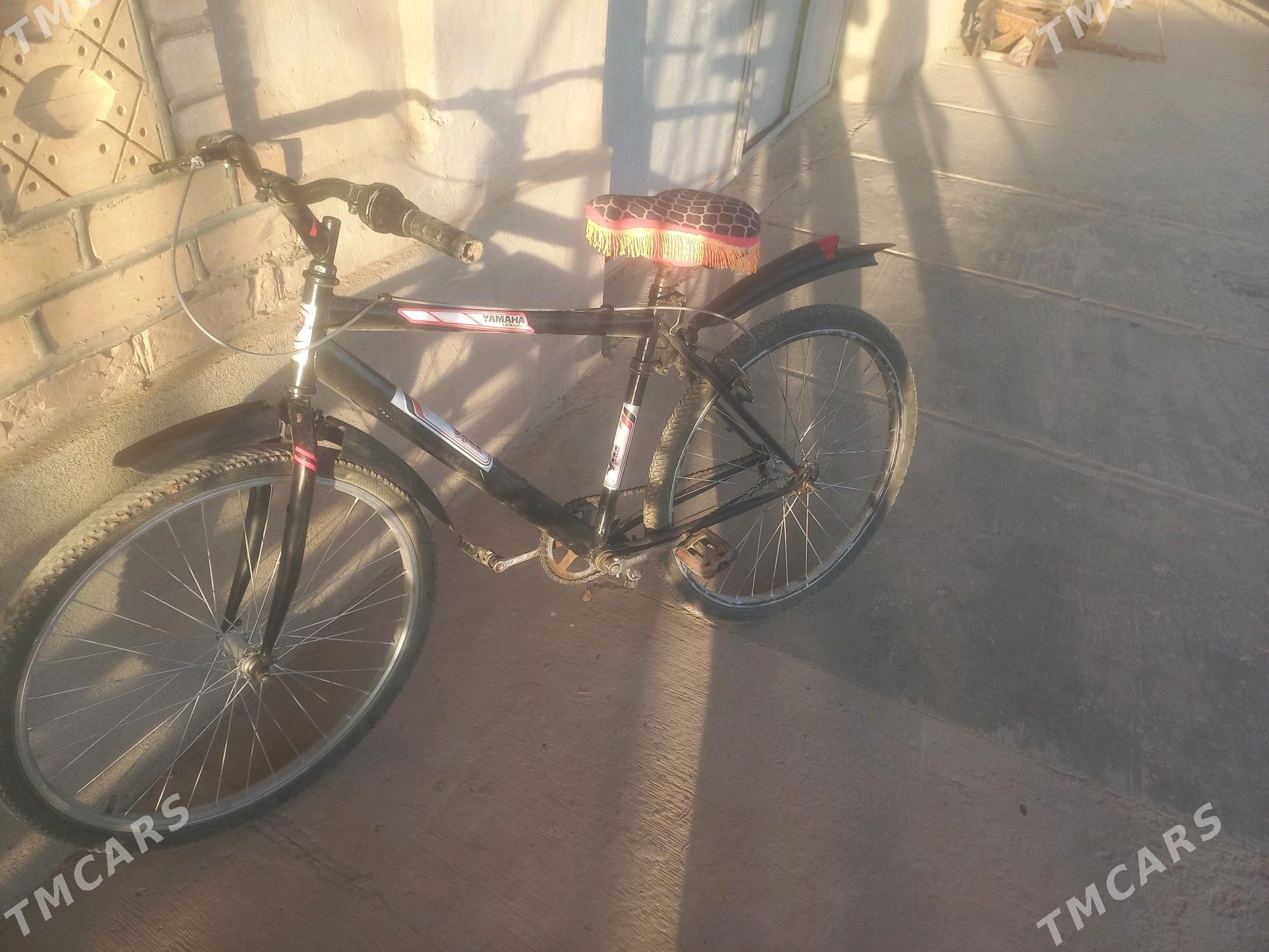 Tigir - Gubadag - img 4