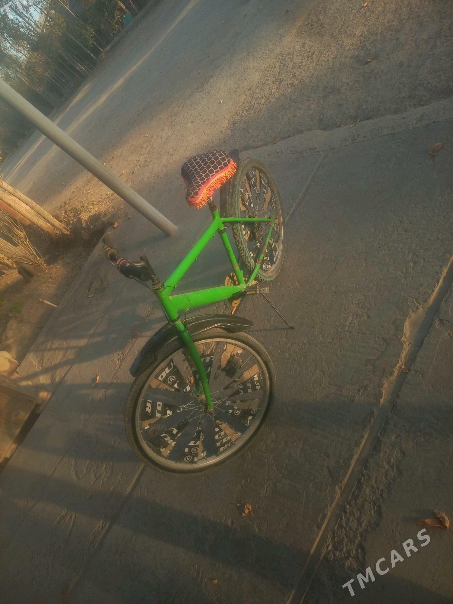 Tigir - Gubadag - img 2