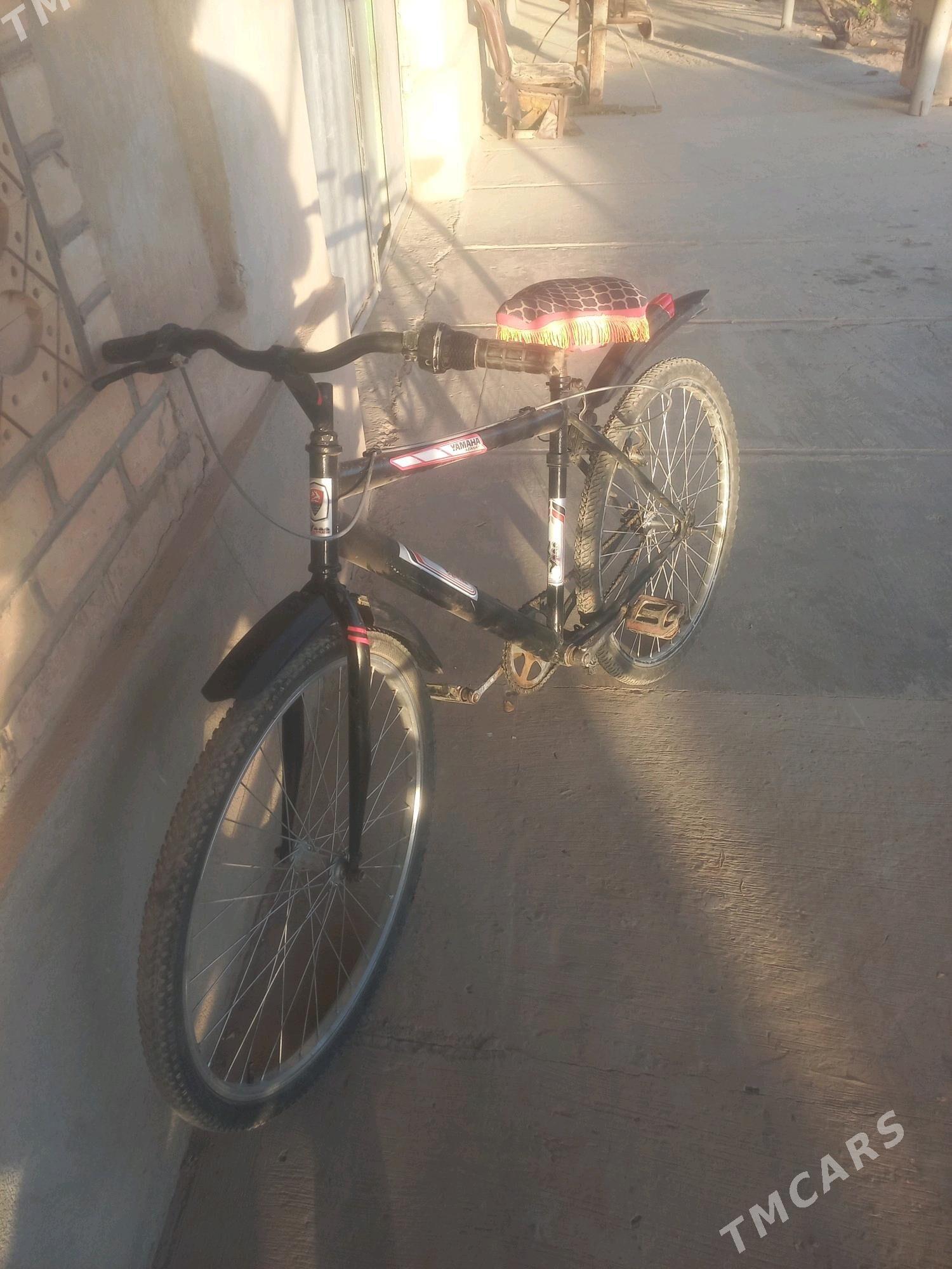 Tigir - Gubadag - img 5