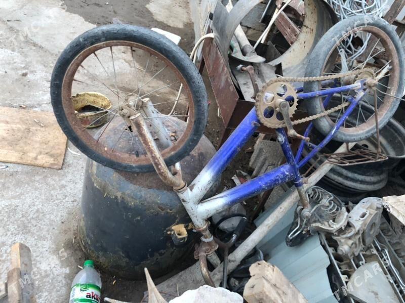 Tigir - Чоганлы - img 1