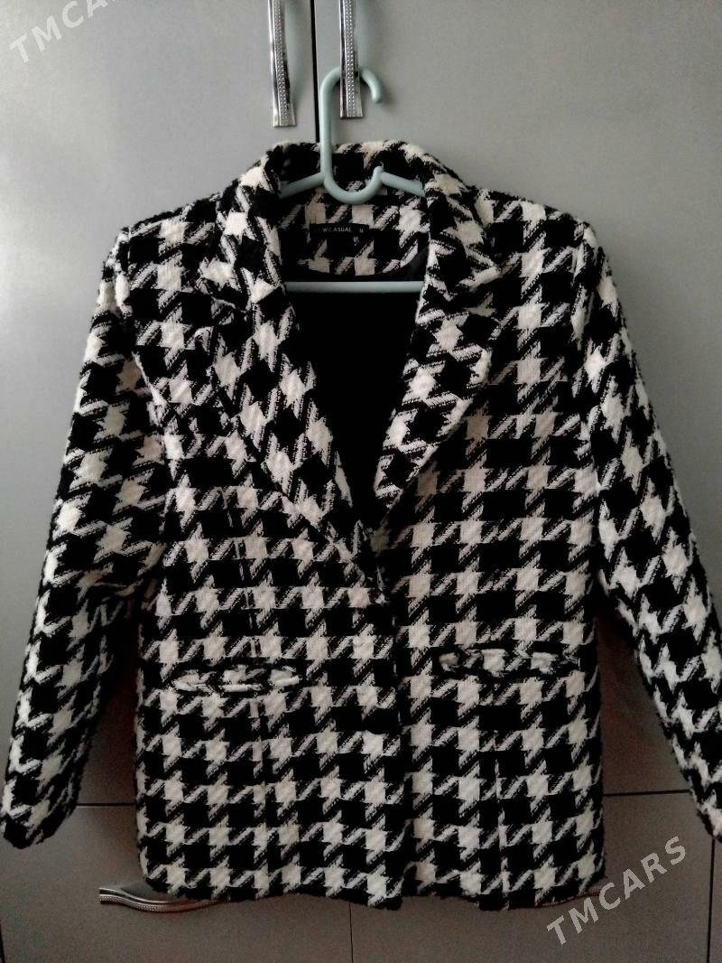 Kastyum - Daşoguz - img 2