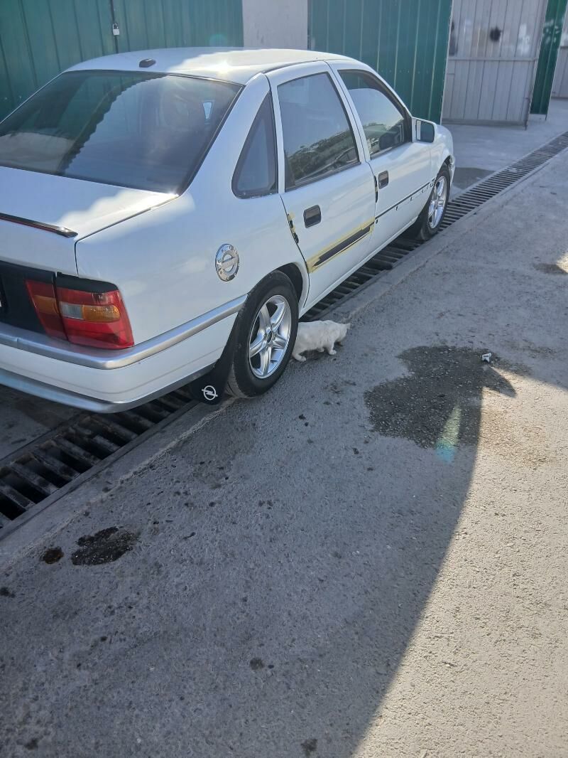 Opel Vectra 1991 - 40 000 TMT - Анев - img 4