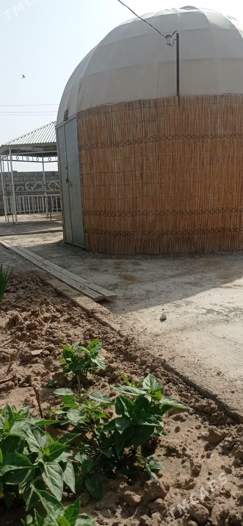 Gara öý bilen besedka - Мары - img 2