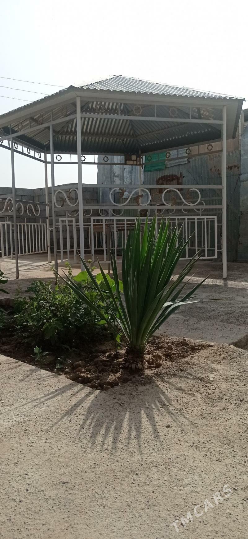 Gara öý bilen besedka - Мары - img 3