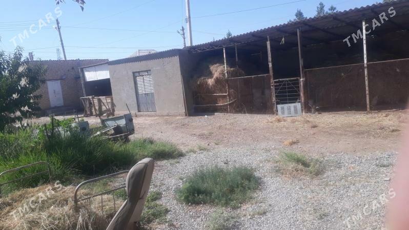 8 mekdebin  yany kwartira - Tejen - img 2