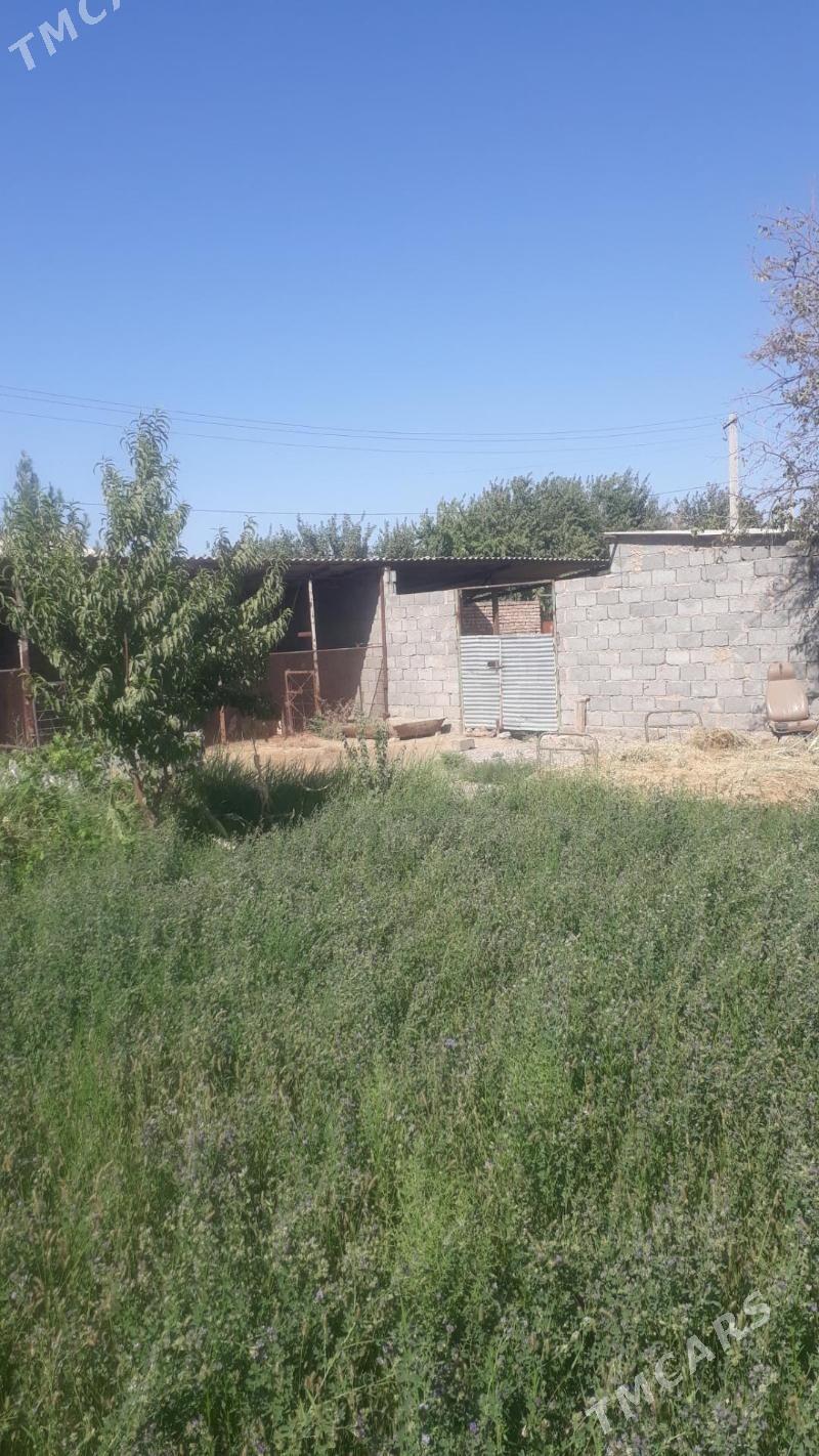 8 mekdebin  yany kwartira - Tejen - img 3