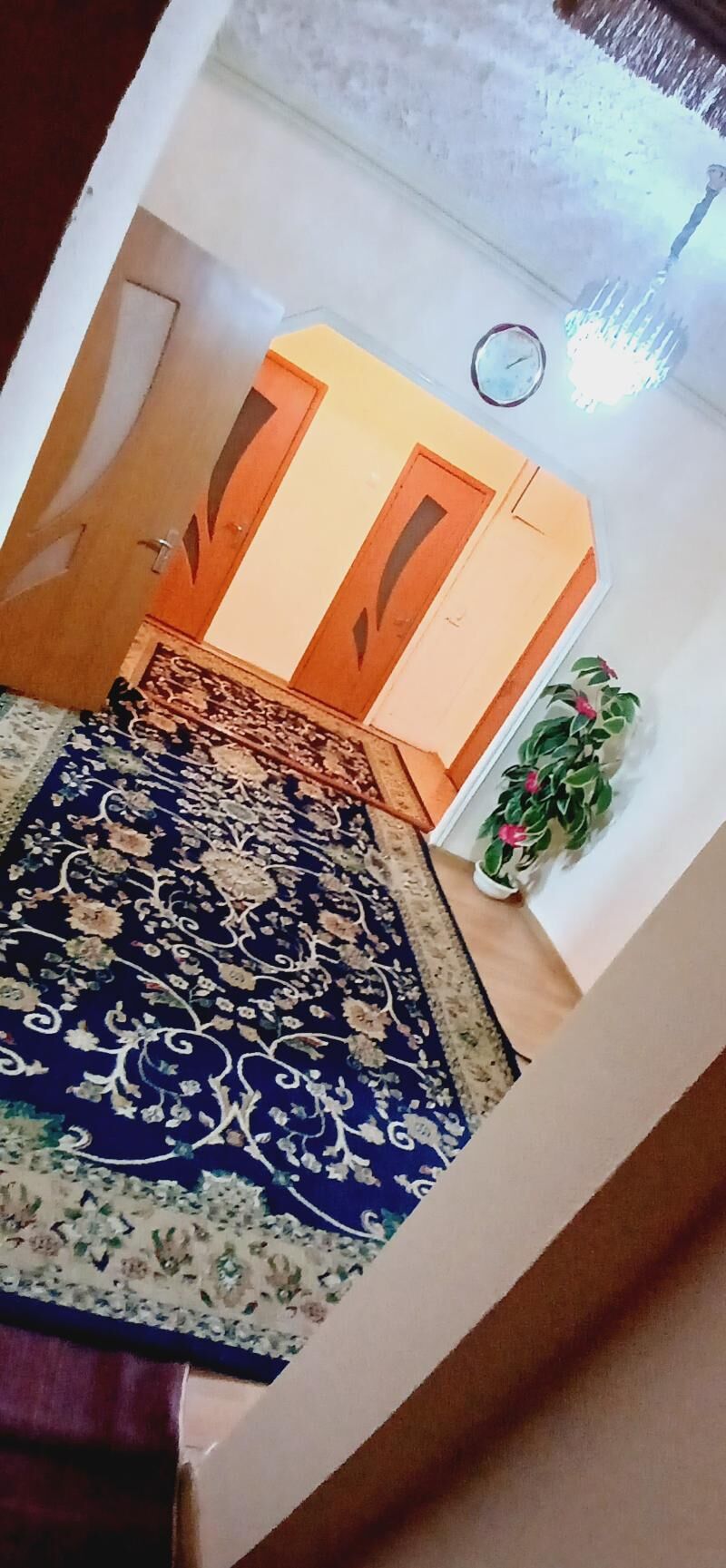 satlyk jay - Daşoguz - img 3