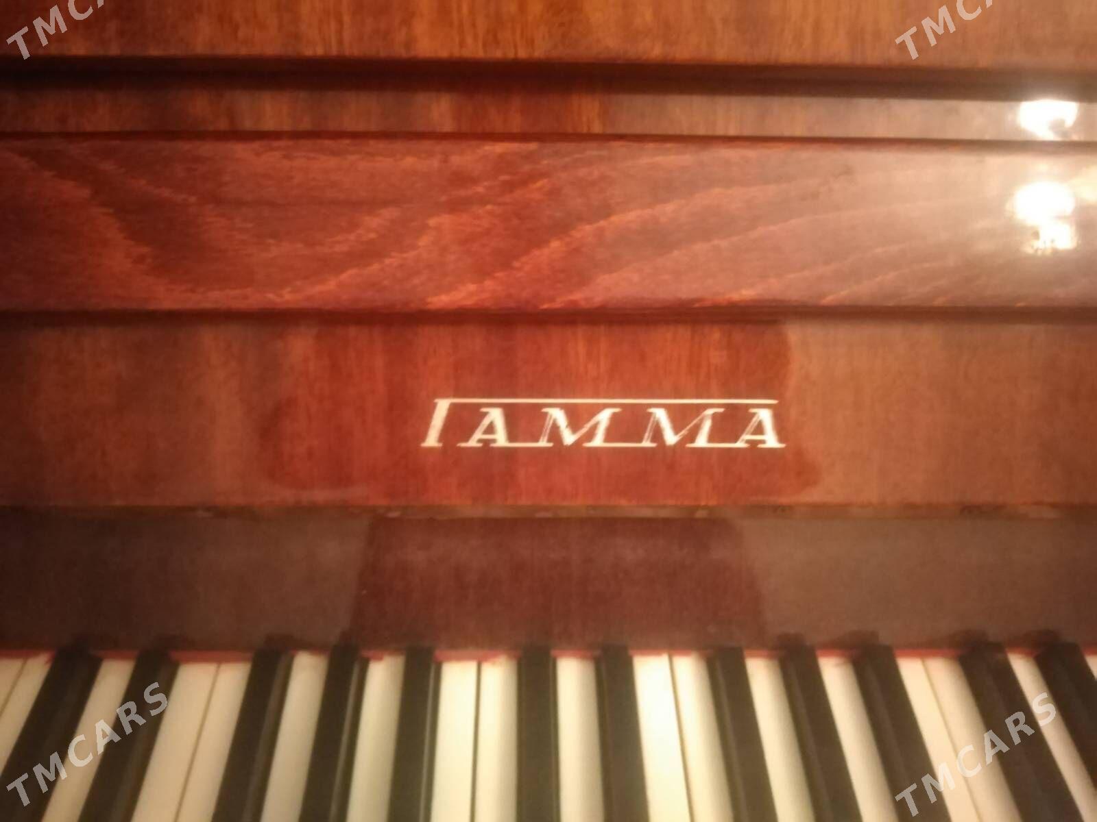 Фортепиано - Daşoguz - img 4